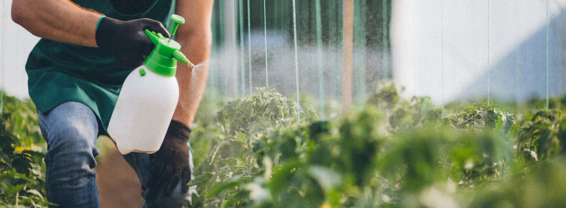Why Is Roundup Still Being Sold? Arnold & Itkin