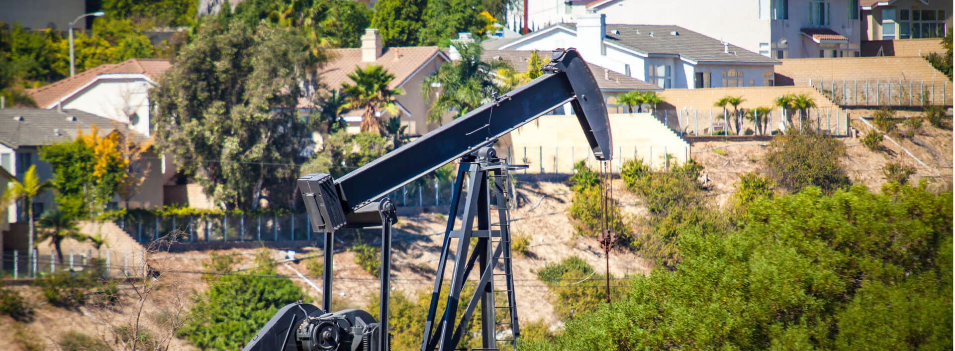 A decade after the BP oil spill: Sick fish, Gulf pollution, and human health  problems • Florida Phoenix, image size:1920x705